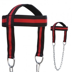 Head Harness